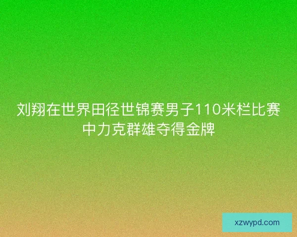 刘翔在世界田径世锦赛男子110米栏比赛中力克群雄夺得金牌