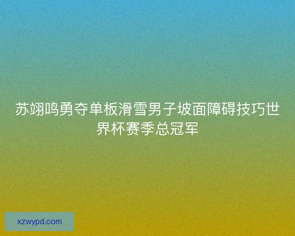 苏翊鸣勇夺单板滑雪男子坡面障碍技巧世界杯赛季总冠军 苏翊鸣勇夺单板滑雪男子坡面障碍技巧世界杯赛季总冠军